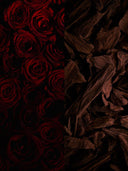 Das Glazomer Parfum (Oud & Rose)